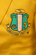 AKA Golden Soror Blazer