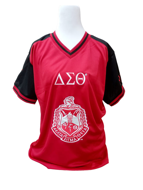 Delta V-neck Jersey