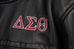 Delta Sigma Theta Cropped PU Leather Jacket