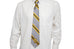 Alpha Gray Stripe Life Member Tie