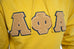Alpha Old Gold Hoodie with Chenille Letters