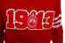 Delta Sigma Theta Red 1913 V-neck Shield Sweater