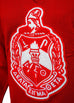 Delta Sigma Theta Classic Vneck Sweater with Chenille shield