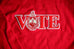 Delta VOTE Sweatshirt with Chenille Design